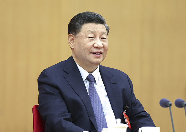习近平参加党的二十大广西代表团讨论